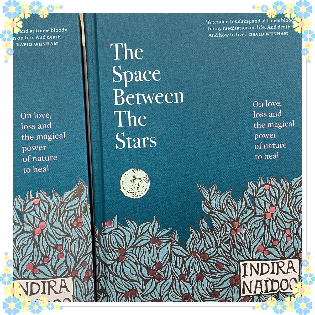 DenyseWhelan1's tweet photo. ⁦@dearindira⁩ picked up my copy #thespacebetweenthestars today at local BigW. Already into the first pages. I'm sorry that your story is about such awful loss &amp; why but also heartened by messaged &amp; theme of nature. It's helped me too post #cancer wishing you well. 🌳 💕 https://t.co/KZqmZ9D04s