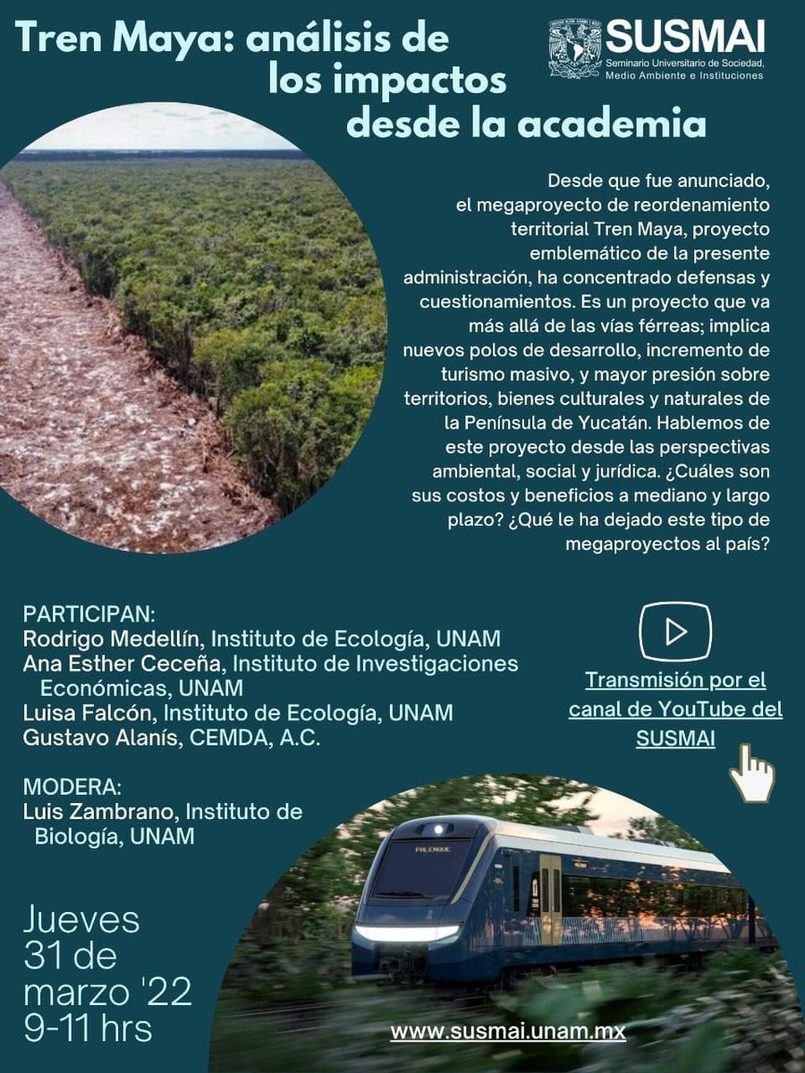 NahualEconomus's tweet photo. Estemos #vigilando el #cuidado al #planeta 🌎 promoviendo el #desarrollosocial en el triángulo esencial del #DesarrolloSostenible @UNAM_MX #SUSUMAI #TrenMaya #SelvaMeDelTren #MIA #EIS #Informate #DECIDEMEJOR @SEMARNAT_mx @GobiernoMX @selvamedeltren @quintanarooadia https://t.co/2uSpbRAkTr