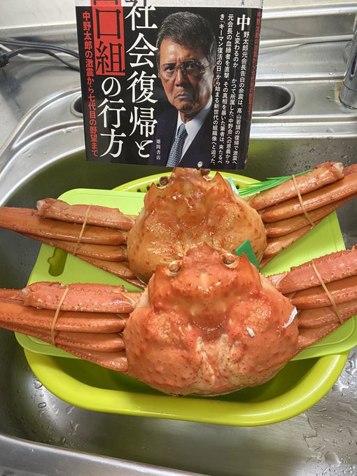 A List Of Tweets Between 竹垣悟 And 22 Year 3 Month 1 Whotwi Graphical Twitter Analysis