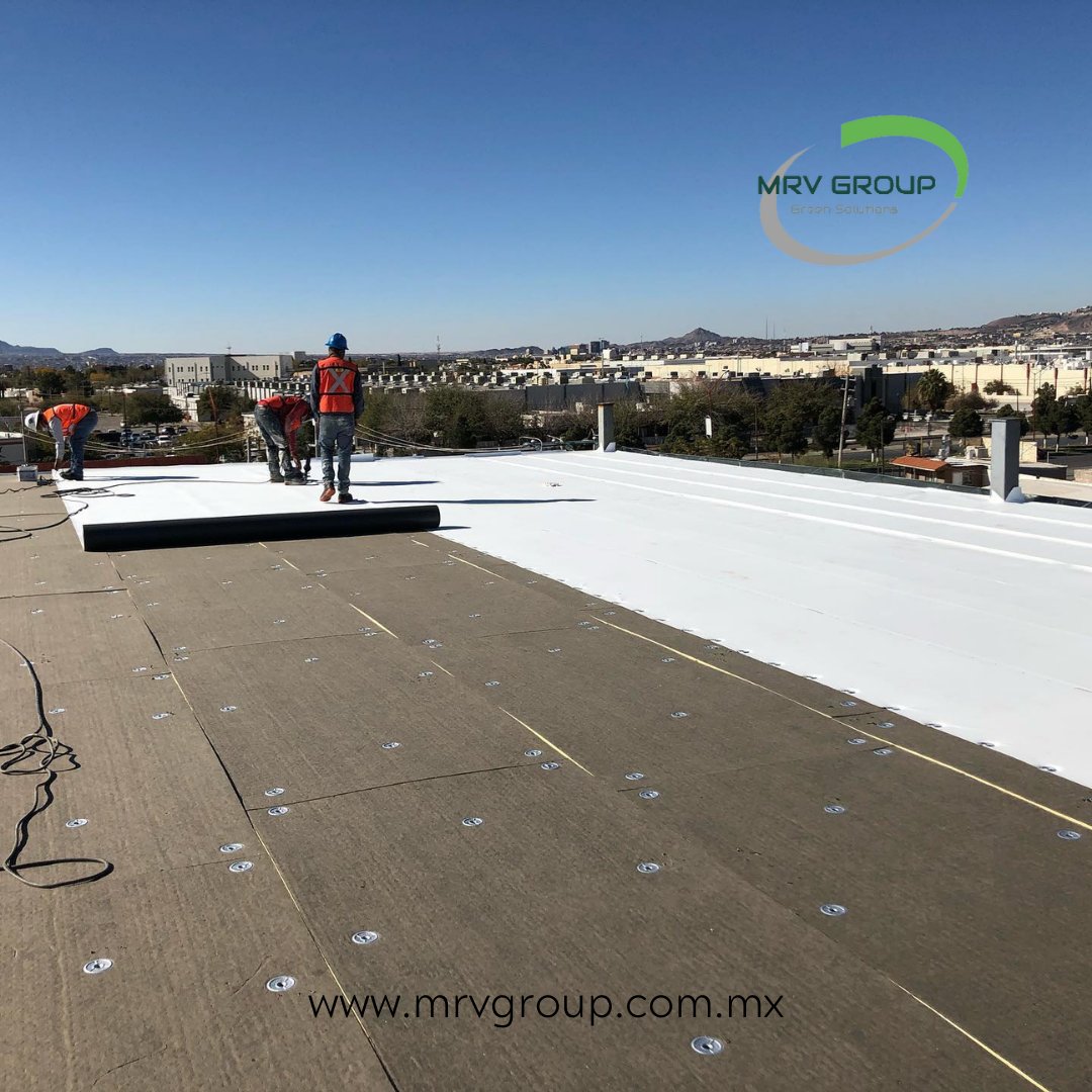 MRVGroupMX's tweet photo. El equipo de #mrvgroup instalando un techo con #TPOmembrane. Quieres saber más sobre las opciones para #retechar tu nave industrial? contactanos en https://t.co/Lu7wDeTdUM #piensaverde #roofingcontractor https://t.co/E94c4ZHEp7