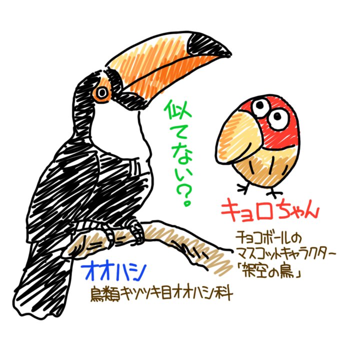 Twoucan キョロちゃん の注目ツイート イラスト マンガ コスプレ モデル