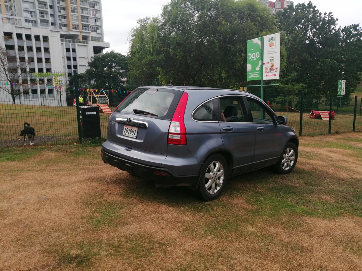 Reparto Nuevo Panamá tweet media