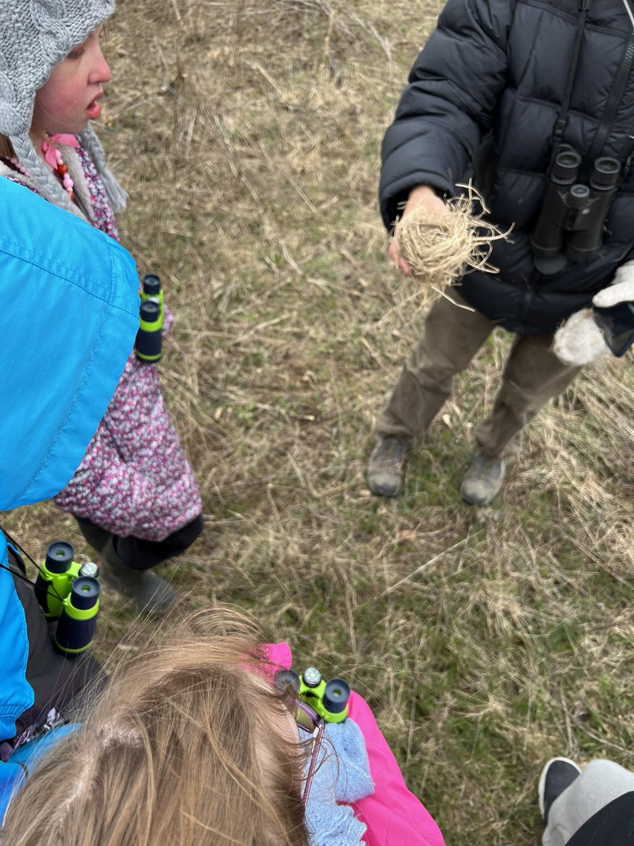 Mrs. Wilkins tweet media