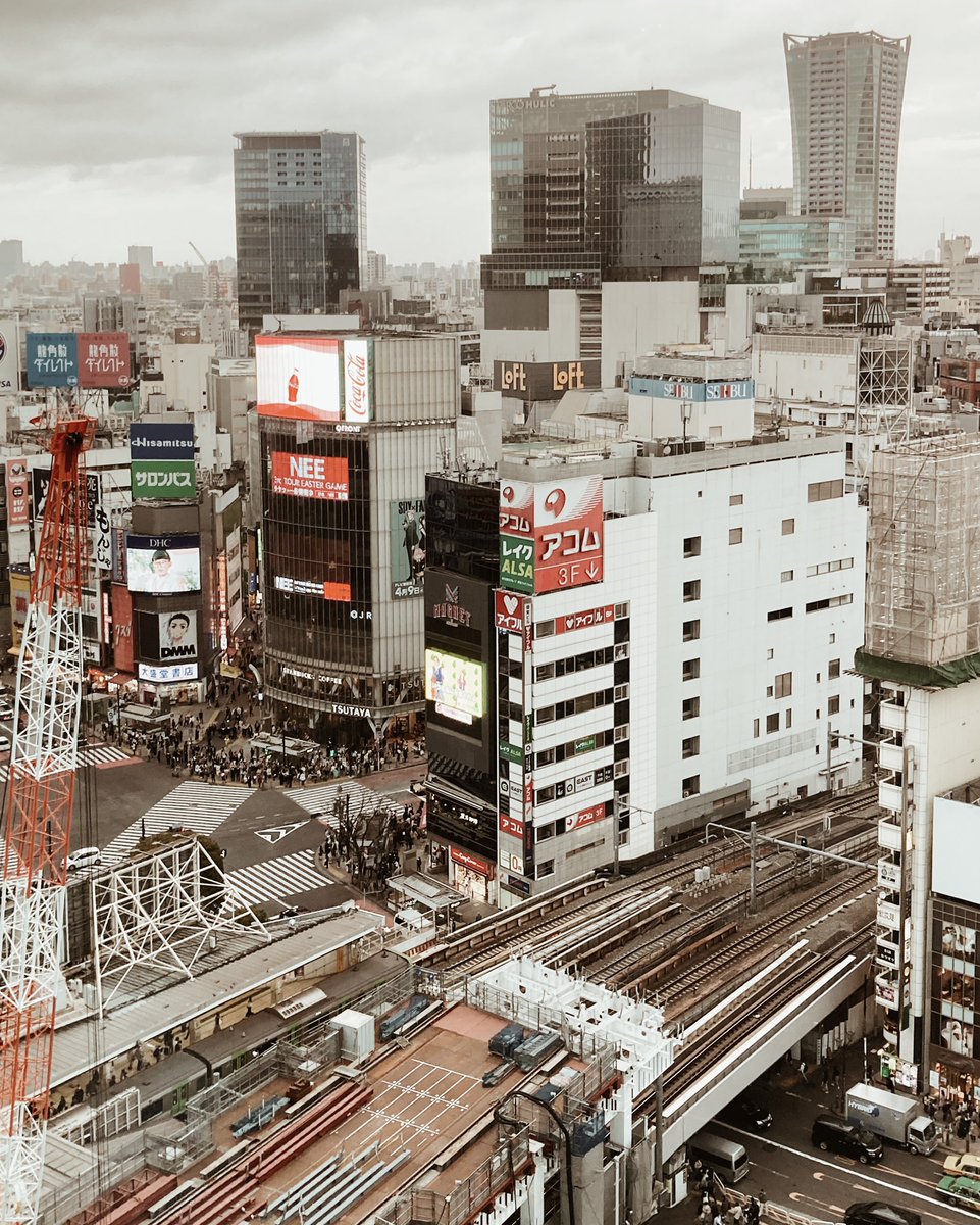 cmecapoet's tweet photo. concrete jungle

#Japan #Tokyo #photography
 #view #landscape #city
#東京カメラ部 #キリトリセカイ
#写真好きな人と繫がりたい 
#ファインダー超しの私の世界
#渋谷スクランブルスクエア https://t.co/hIVaY9MFcJ