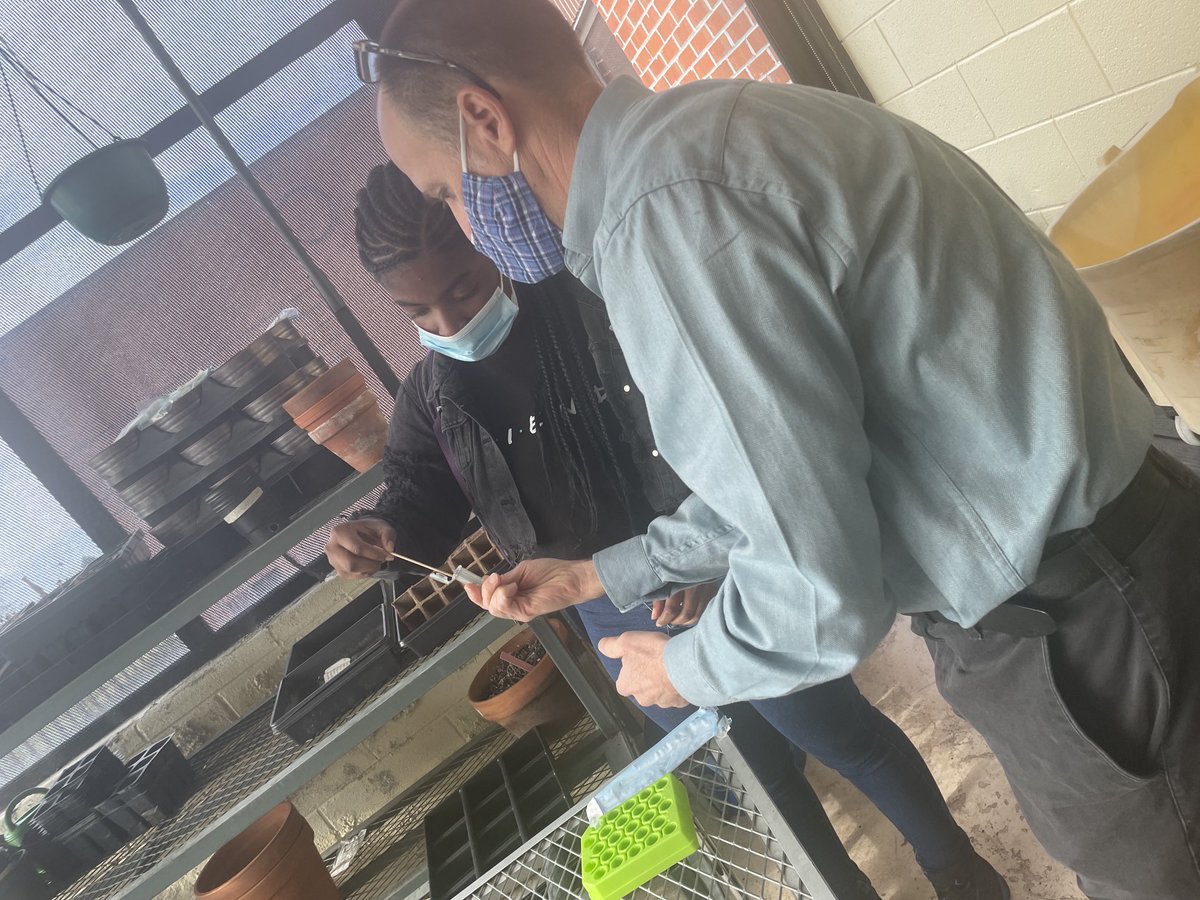 mhawkinsEDU's tweet photo. So excited that our #AEScience students will be exploring the possibilities of microbial plastic degradation! Thx to Dr. Reynolds & Ms. Philips (@UTKnoxville) & Ms. Howell (@AustinEastHS) our Ss are diving into some super important science! 😉#therealAE https://t.co/PfKmcSDj6E
