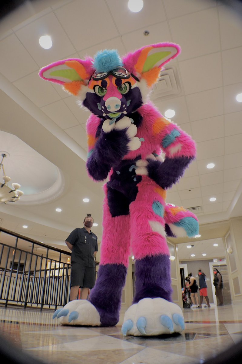 astridddragon's tweet photo. My fursuits are made by @/ Shkaff28 (on instagram), @DeerLair and @elk_craft ! Please check them out! Theyre all lovely makers! ❤️ #fursuit #fursuiter #furry https://t.co/25tRbkD5JS