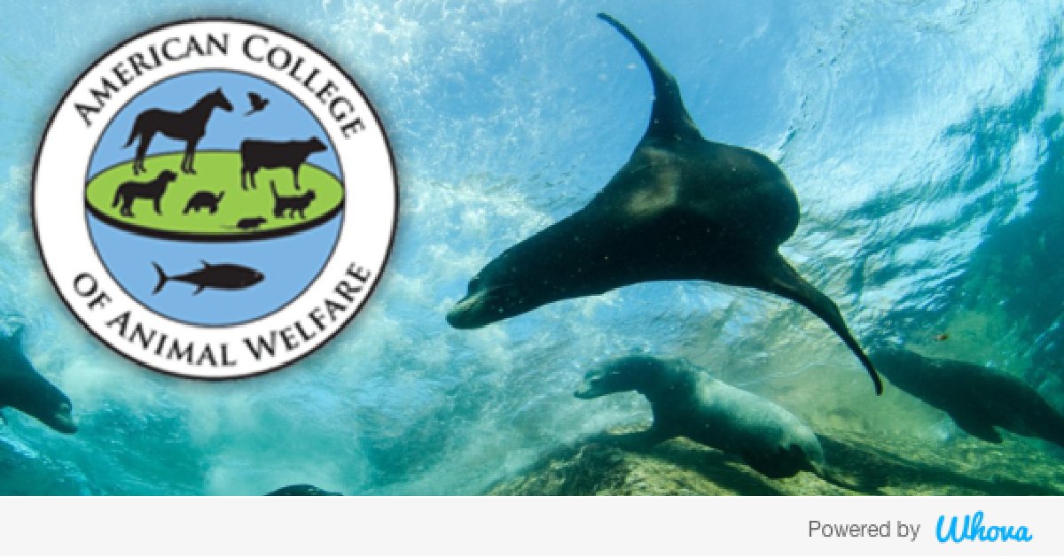 eabdelfa's tweet photo. Hi! I'm attending American College of Animal Welfare Short Course 2022. Let's start connecting with each other now. https://t.co/Vru6pdyBe2 https://t.co/NuIrvsS8R7