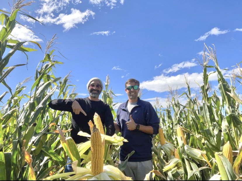 Damiantwr's tweet photo. Hoy salimos con las botas… estimación de rinde con @DamianCtt. Excelente llenado de los Maices en JNF.
• FS: 20/11/2021
• Híbrido: DK 7220
• Fert P: 100 kg/ha FDA
• Fert N: 110 kg/ha Urea variable (150-100-50)
• 📌 Juan N Fernandez
#EADS @FieldViewArg https://t.co/f2xUhSEtuf