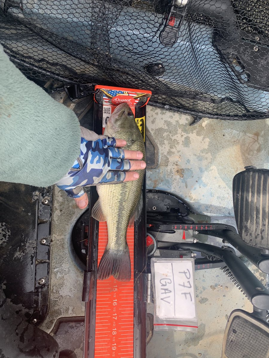 RB_Bassin's tweet image. Had a fun day out in the @HobieCatCompany PA14 360 today.  Battled some winds but found plenty of nice quality fish.  They were hungry for the @ZOOMBaitCompany today.  Was about to slap a few on the #ketchboard with the help of my @Abu_Garcia reel.  Till the next time! #fishon