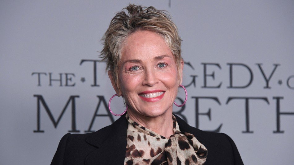 FreshNuevas's tweet photo. Tenemos villana para #bluebeetle sera protagonizada por #SharonStone y interpretara a Victoria Kord https://t.co/hfDaIB7PGR