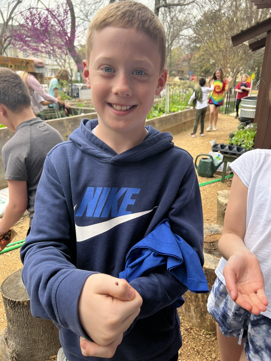 MsGreen4thgrade's tweet photo. We had the best time learning about insects, holding ladybugs, and planting at garden today. 🐞🪴❤️ @ArmstrongHP https://t.co/IooyDBR5sT