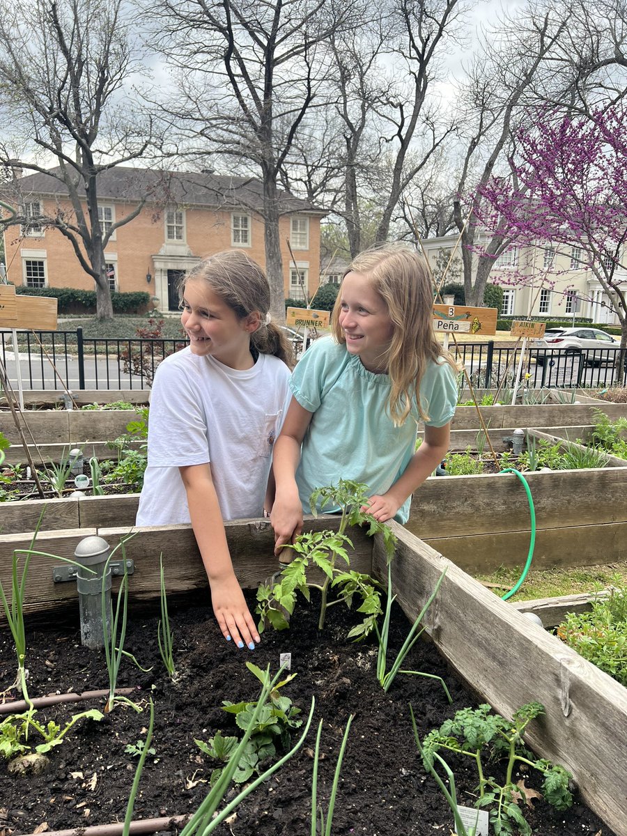 MsGreen4thgrade's tweet photo. We had the best time learning about insects, holding ladybugs, and planting at garden today. 🐞🪴❤️ @ArmstrongHP https://t.co/IooyDBR5sT