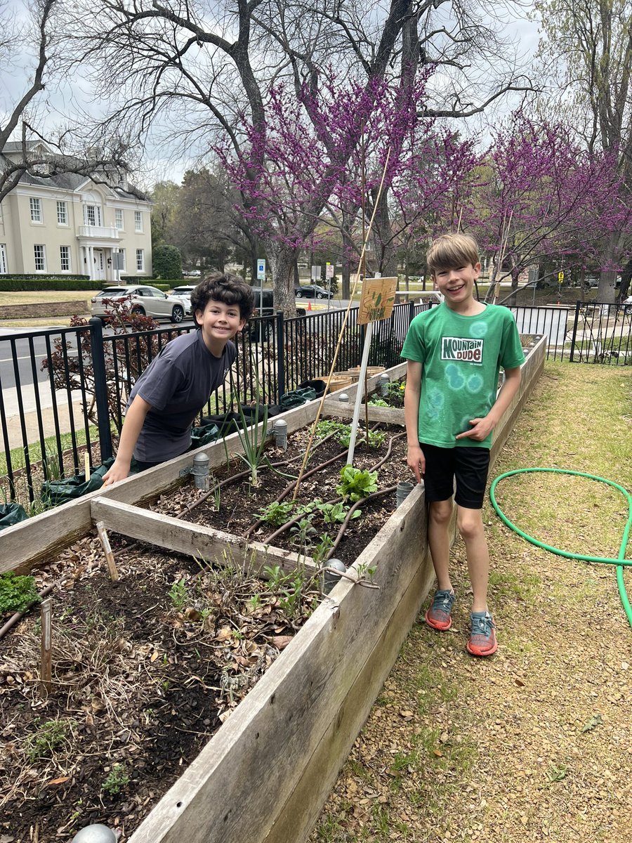 MsGreen4thgrade's tweet photo. We had the best time learning about insects, holding ladybugs, and planting at garden today. 🐞🪴❤️ @ArmstrongHP https://t.co/IooyDBR5sT