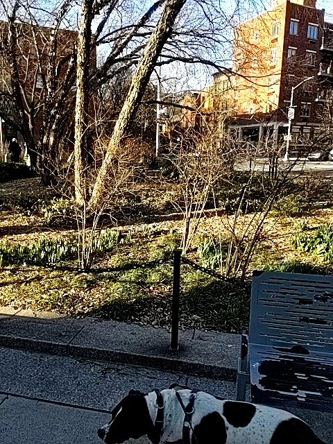 DaSitu found #ethereum in a User vault at this location! Join me playing #coinhuntworld, It's awesome! coinhunt.gsc.im/4t9x2LRbWA #cryptocurrency #73953