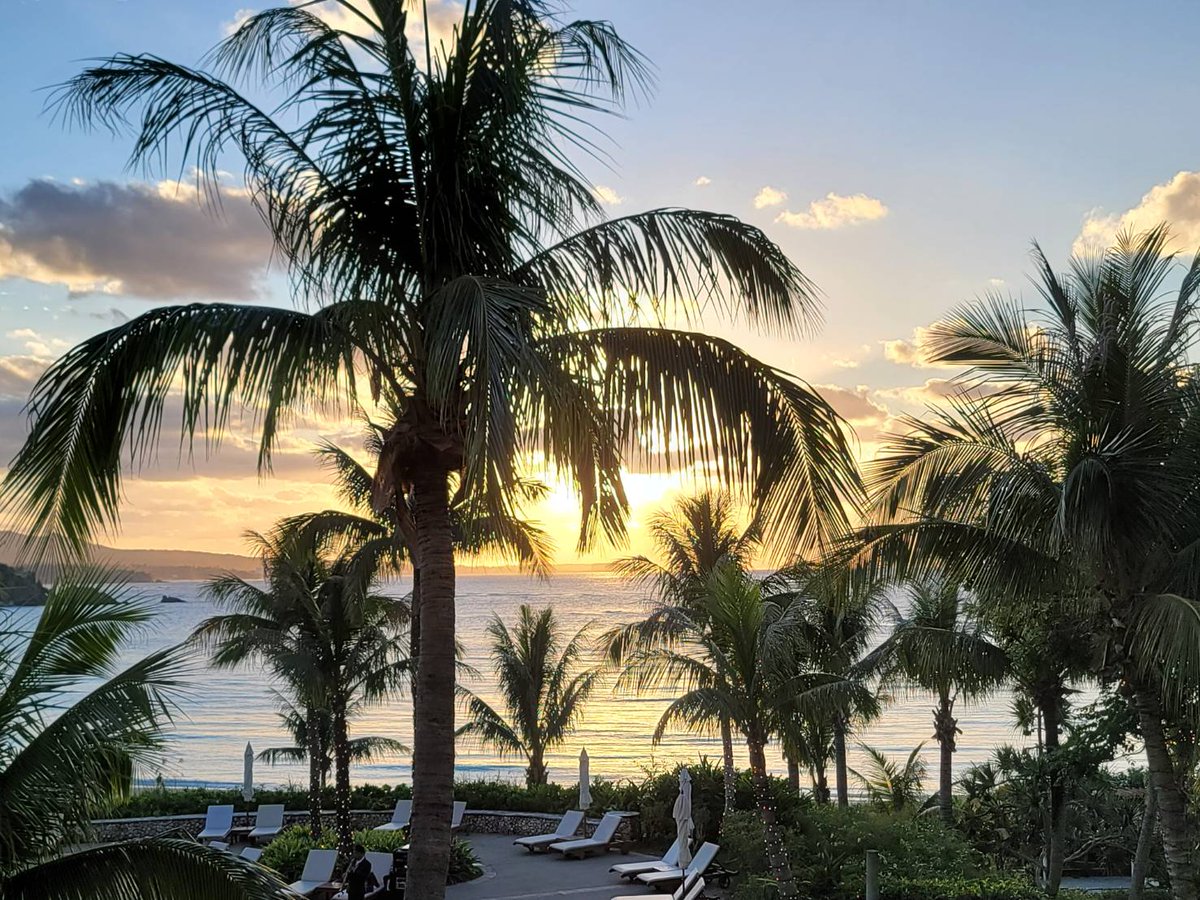 resort_hoiku's tweet photo. 🏝️沖縄お役立ち情報🌺

人気の【ブセナホテル】の記事です🍀

ステキー✨行ってみたいなー✨

https://t.co/Z6Ez243R7p https://t.co/dAbVddEZTU