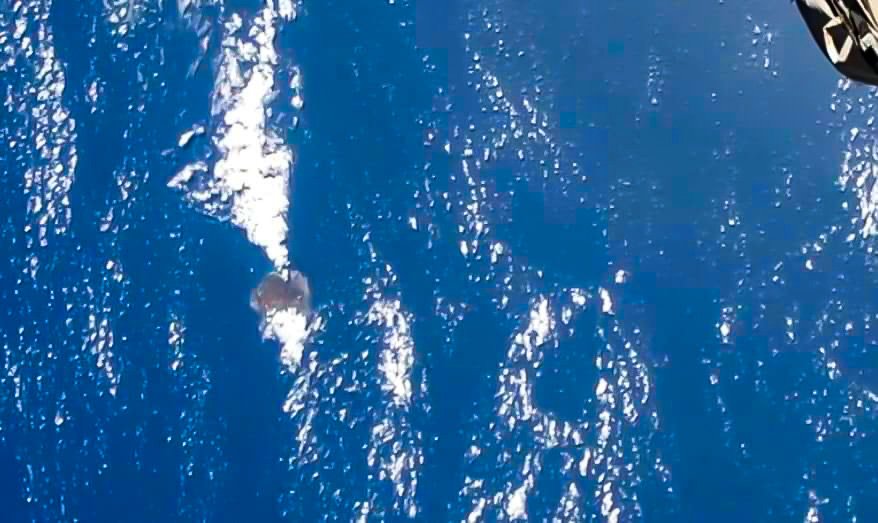 AlasdairBain's tweet photo. This is Ascension Island seen from the @Space_Station this weekend. At 408km from earth, when the ISS passes over it's three times closer than our nearest neighbours on St Helena (1200km away).

You know you're remote living when sometimes your nearest neighbours are in space! https://t.co/vZ3BGflctG