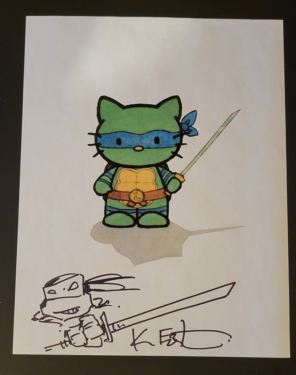 HmnkThe's tweet photo. Carnrike made, Eastman approved.
He thought this would be a great crossover back in 2012 when we met &amp; explained HMNK to him. 
#blessed by the Ninja Turtle Gods!

#hmnk #hellomutantninjakitties #hellokitty #teenagemutantninjaturtles #tmnt #illustration #watercolor #kevineastman https://t.co/Qll7KdAyNq