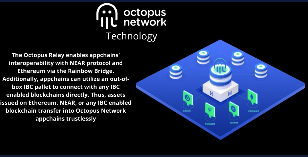 Catzilla__'s tweet photo. I am very bullish for $OCT 
#Octnetwork interoperability with #NEARProtocol. $NEAR❤️ https://t.co/t5dJGBEkXL