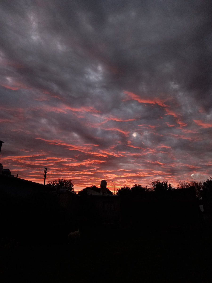 los atardeceres así ✨✨