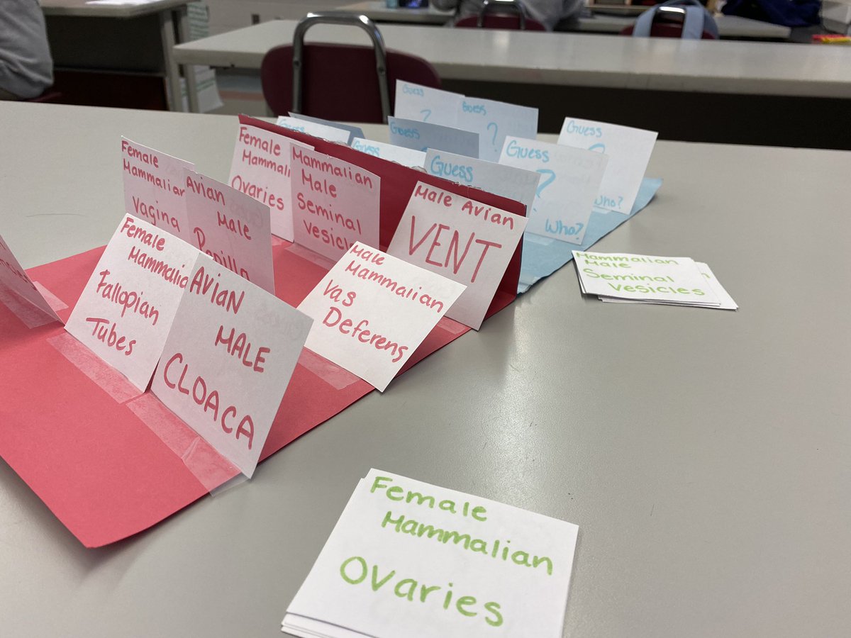 JennaKibbe's tweet photo. Guess who has the most creative students?! Gettysburg animal care students created a fun “guess who”vocabulary review game to wrap up our reproductive systems unit! #psuaged22 #handsonlearning https://t.co/YuRAin2ito