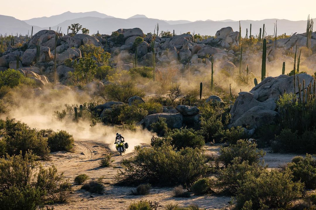 Views from our first team trip of the year. We'll take dusty trails through cactus forests any day. 🌵