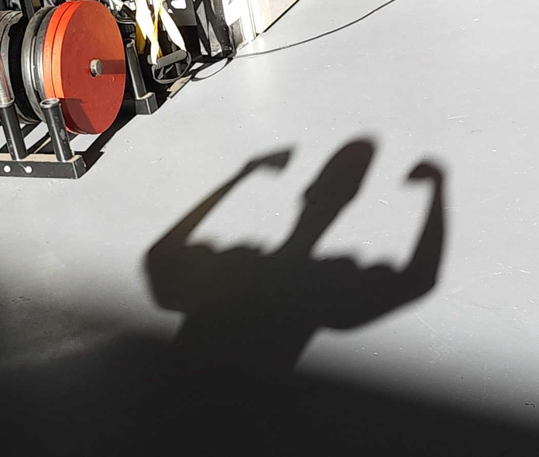 jarms0728's tweet photo. Shadows were friendly today. https://t.co/7ZCRVYBA1T