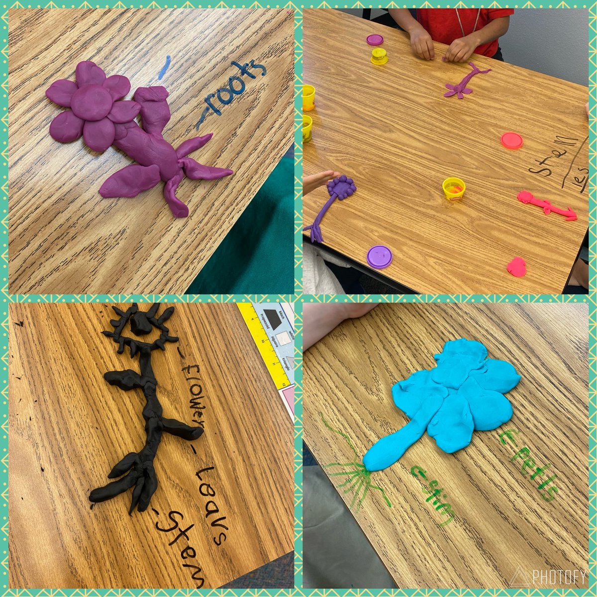 WildAboutFirst's tweet photo. Building, collaborating and labeling plant parts! #science #STEAM #firstgrade #WilkinsonSCS @LauriCurrie https://t.co/0vdvpu8zjL