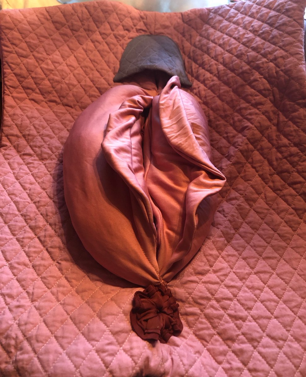 TotNorFun's tweet photo. I was asked to make an anatomically correct vagina for my friend Wanda's new sex therapy practice, Marvelous Sensuality Coaching, LLC.  I will post pics of the entire process so stay tuned.

#TotallyNormalFun #SexEducation #Anatomy #PlushyPussy #MarvelousSentualityCoaching https://t.co/IJwH173TVV