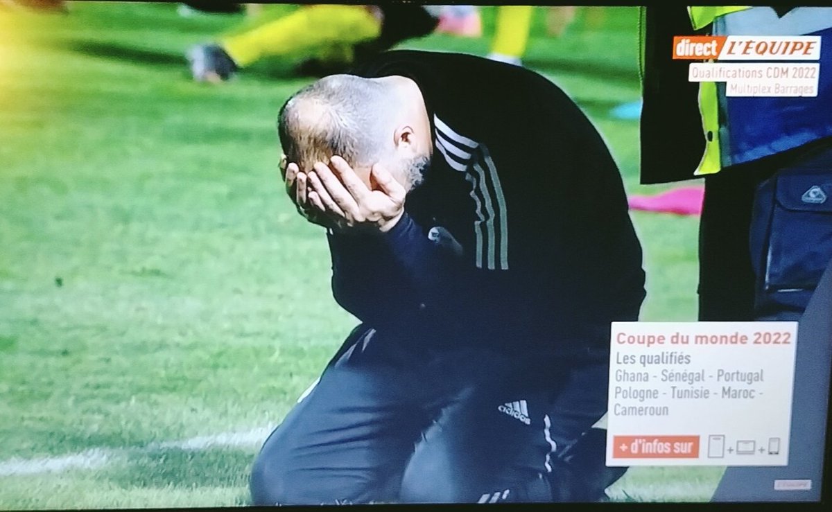 Myriam_Bensalah's tweet photo. L'énorme déception de #DjamelBelmadi, le Sélectionneur de l'#Algérie, juste après l'élimination des Fennecs face au Cameroun survenue en toute fin de prolongation (1-2, score cumulé 2-2)... C'est vraiment l'image du match ! #QualificationsCDM @lachainelequipe @EricHuet12 #EDS https://t.co/Gp0oYHDwcF