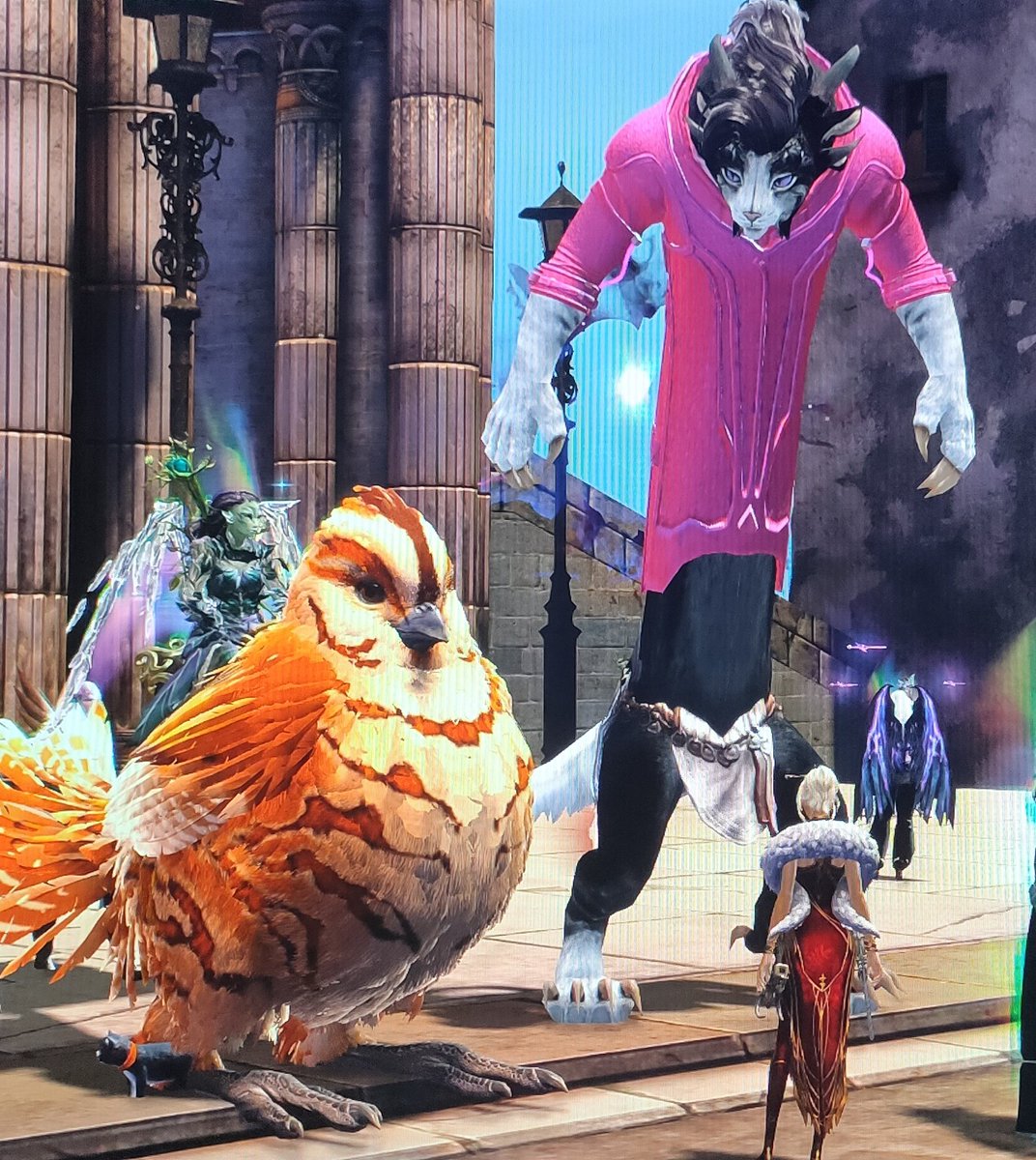 Migg_Gaming's tweet photo. If there are big birds there must be big cats 🐤🐈
#Gw2 #GuildWars2 https://t.co/JwytXxx943