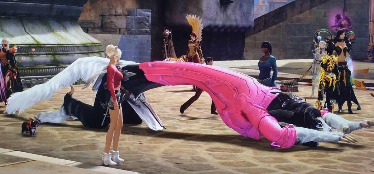 Migg_Gaming's tweet photo. If there are big birds there must be big cats 🐤🐈
#Gw2 #GuildWars2 https://t.co/JwytXxx943