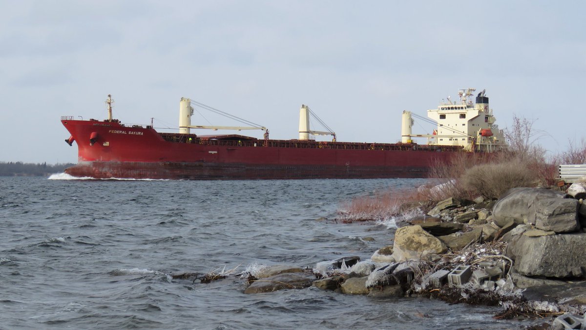 SeawayNNY's tweet photo. #Fednav FEDERAL SAKURA 🇲🇭 up the chilly St. Lawrence at Wilson Hill 🗓️ 27-Mar-2022 https://t.co/zvh2pchtpq