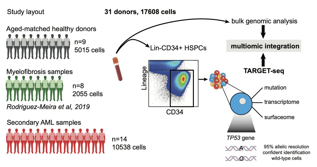 Alba Meira tweet media