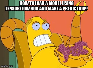 overflow_meme's tweet image. How to load a model using Tensorflow Hub and make a prediction? stackoverflow.com/questions/7166… #tensorflow #tensorflowhub #deeplearning