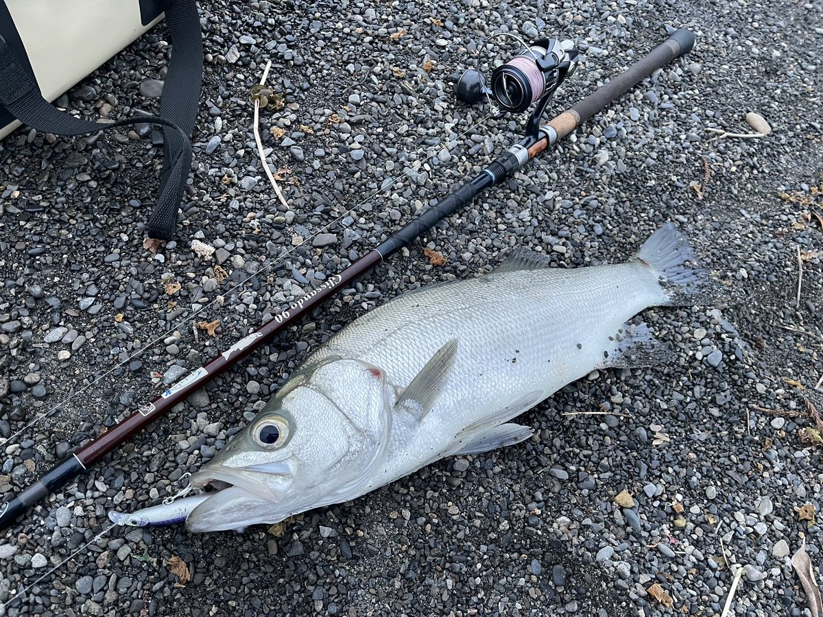 グリッサンド90❗️