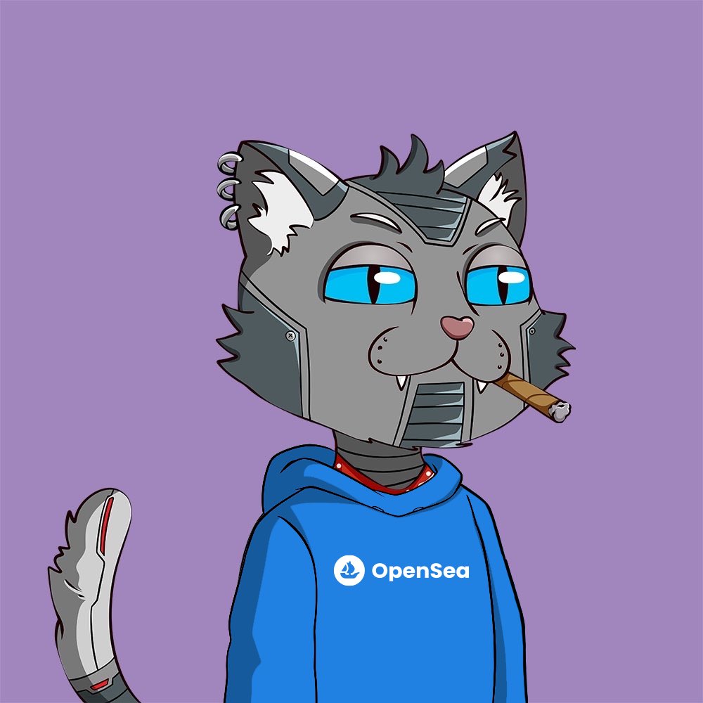 ashtonxsh's tweet photo. hey @opensea, why donβt you let the best cats from #Solana come create a ruckus? #DopeOS #StayDope https://t.co/Tg4YcfwLlH