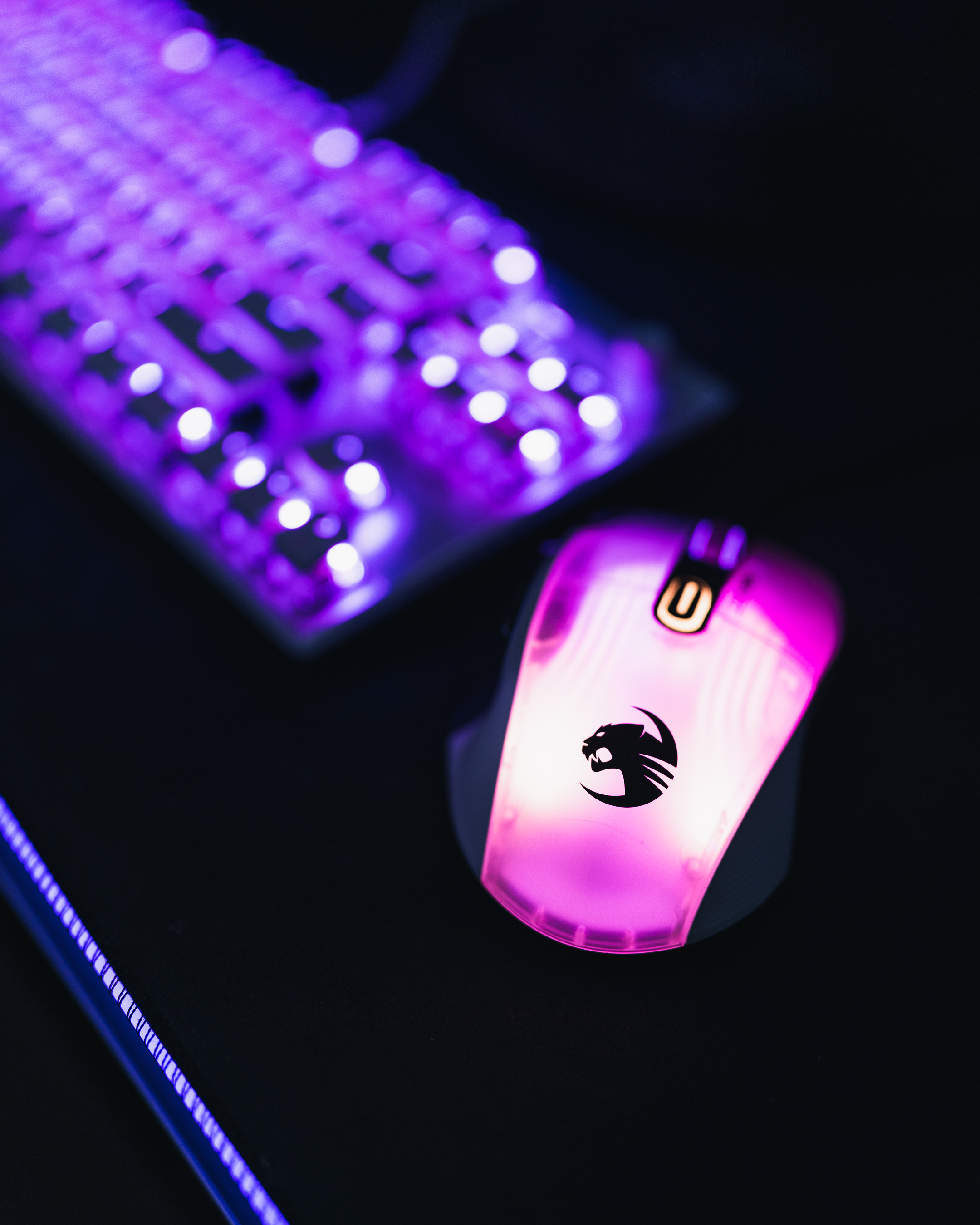 Roccat Roccat Twitter