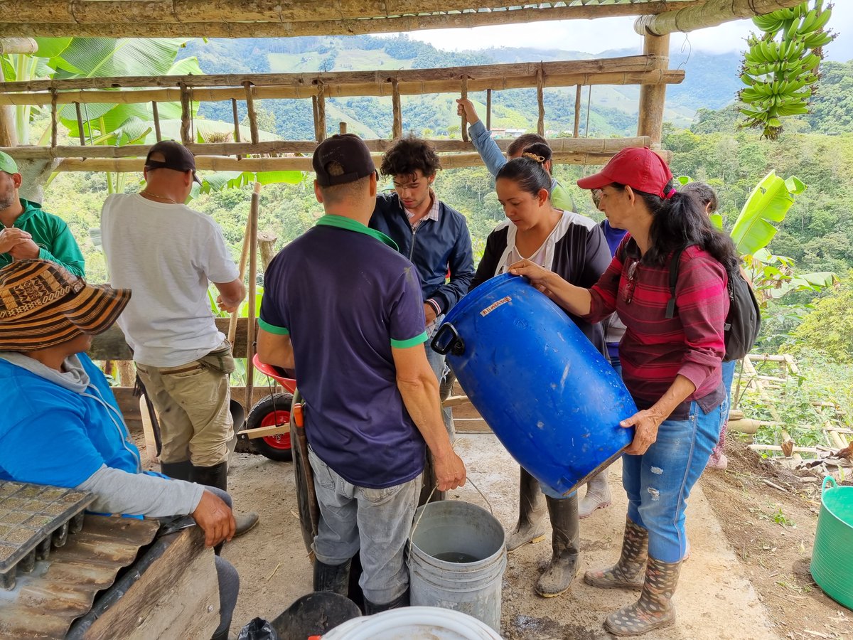 Serraniagua's tweet photo. Destacamos la bonita e inspiradora familia Estrada Giraldo en la finca La Caja de Oro, por la puesta en práctica de los procesos agroecologicos desde una agricultura familiar y campesina, impulsando así, la soberanía alimentaria en nuestro territorio. #agricultura #siembra #sano https://t.co/JGgIFivuMP