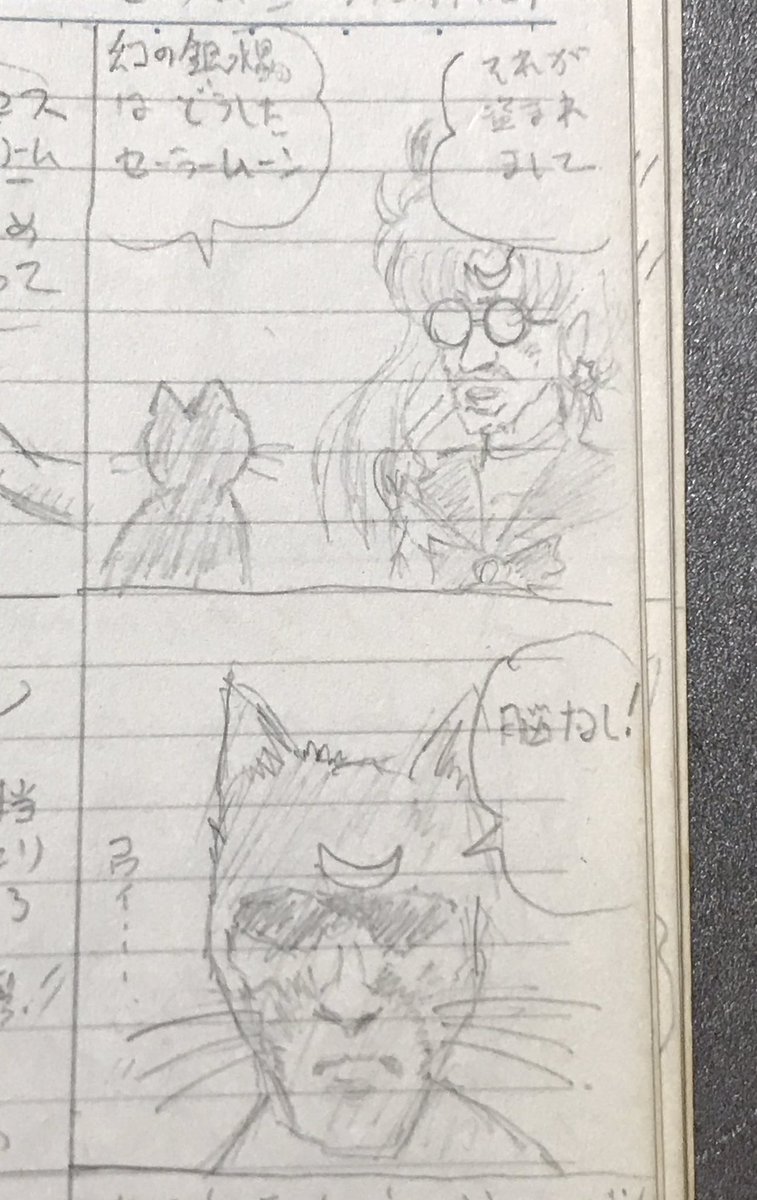 帯電体質のまこちゃんがパソコン勝手に触りデータが根こそぎ吹き飛び。あみちゃんとルナが愕然としてる落書き漫画描いてたはずだが。セーラームーンR(ルースキー)というおかしなのしか見つからなかった。 