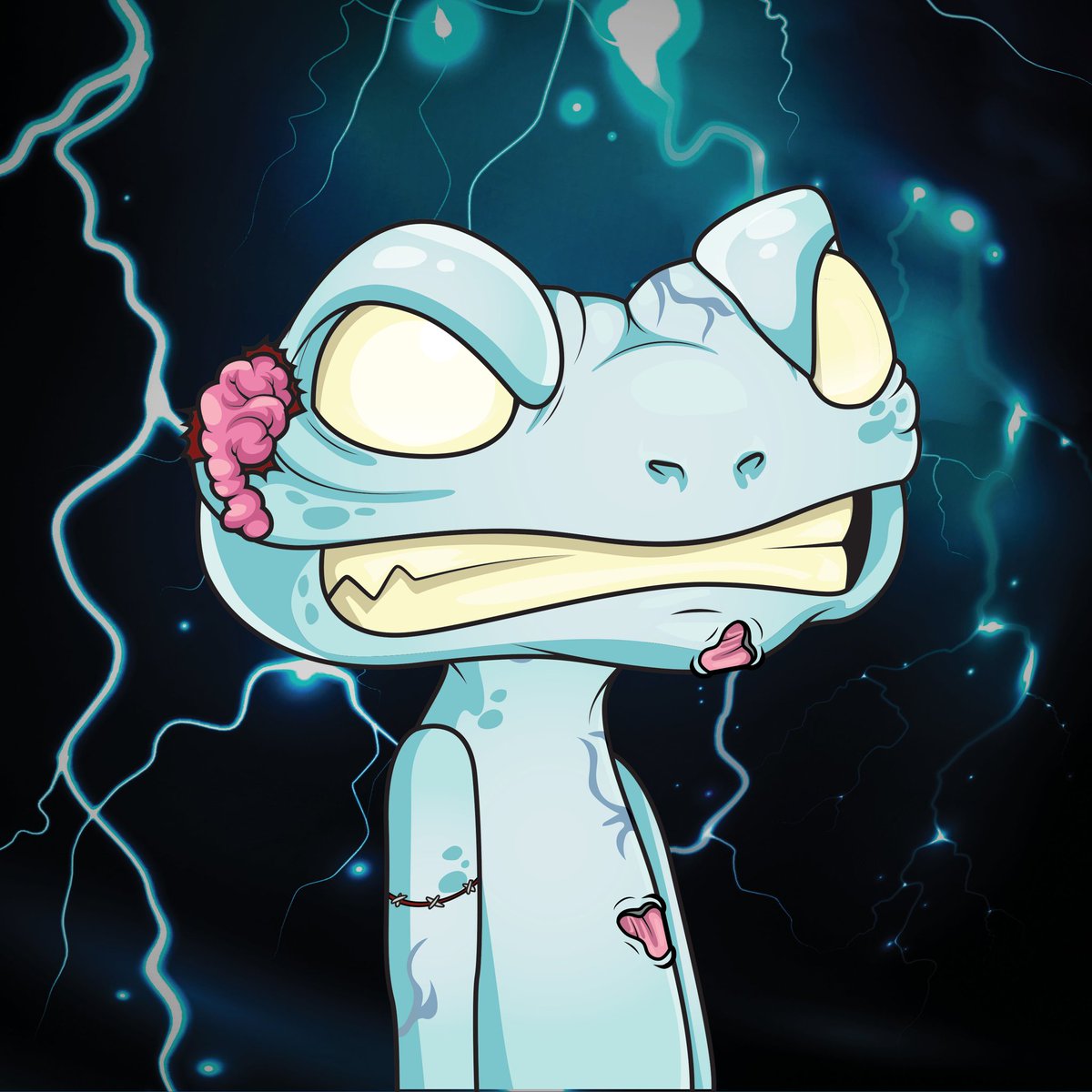 Promos CNFT PROMOTIONS tweet media