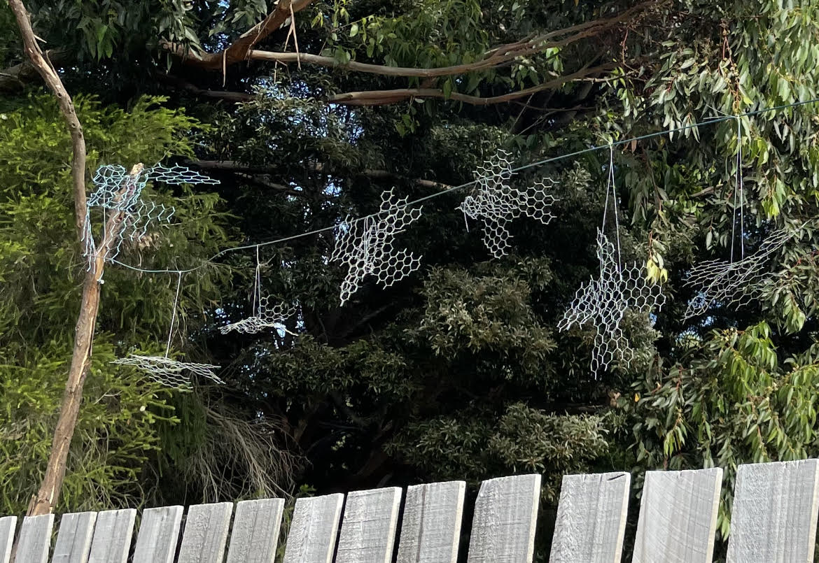 Bruny Island Bird Festival tweet media