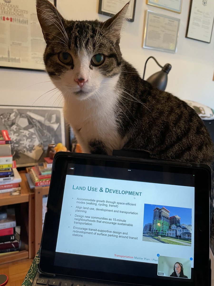 tm_kavanagh's tweet photo. Bart has joined me in listening in on the #transportation Master Plan. Appreciate emphasis on #cycling, #transit &amp; #walking. #ottbike https://t.co/yAzQkp63dA