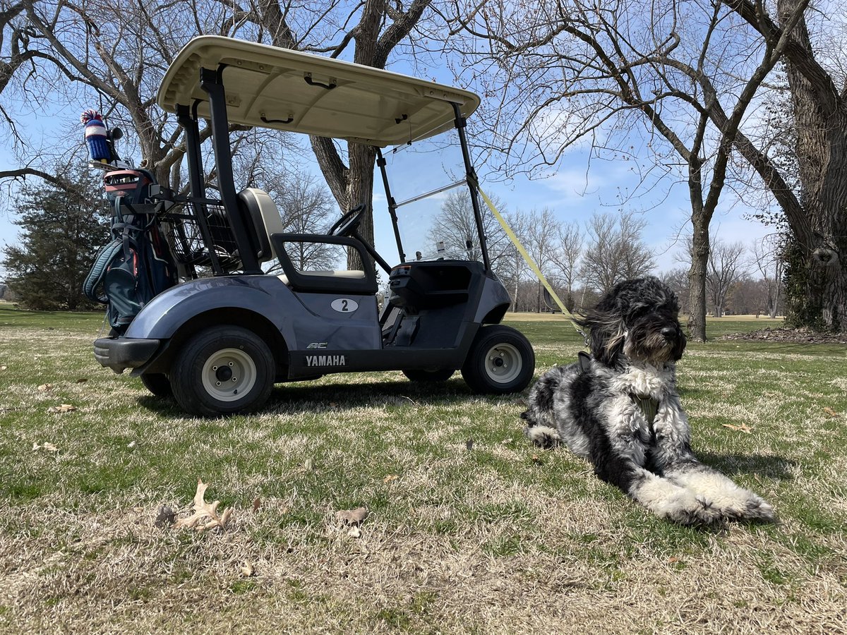 DanielJEsteve's tweet photo. Wembley traded cleats for clubs today ⛳️ #CartDog https://t.co/HBa5VdDGda