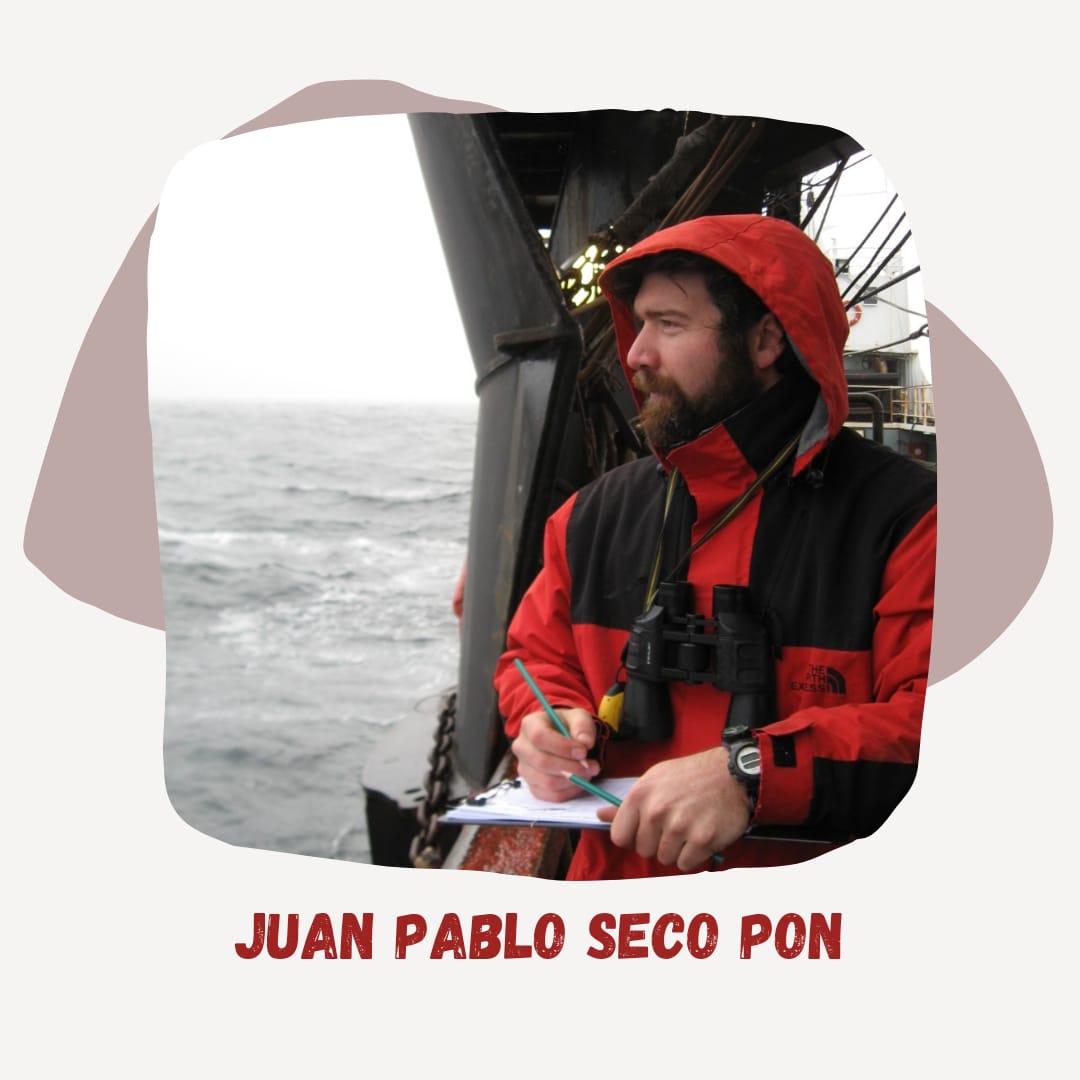 MdqSeabirds's tweet photo. Les presentamos a Juan Pablo Seco Pon:
📍Lic. y Dr. en Biología (#UNMdP)
📍Investigador Adjunto #CONICET (#IIMyC)
Sus investigaciones se centran en el estudio de patrones espacio-temporales de interacción de #aves marinas pelágicas y distintas actividades humanas.
Abro hilo👉 https://t.co/HTwR0TJVui