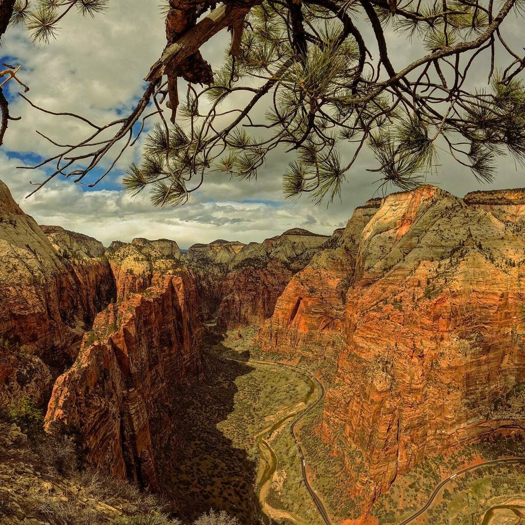 iSANsjourney's tweet photo. That narrow canyon on the left is what we would hike to come to this spot at Angel’s Landing.
How scary is it from 1 to 10? Comment below.
#angelslanding #zionnationalpark #hike #hikersofinstagram #KayakPicks #scaryhikes #zionadventures #utah #visitu… https://t.co/fnswUfnrYn https://t.co/WXzmiTkqph