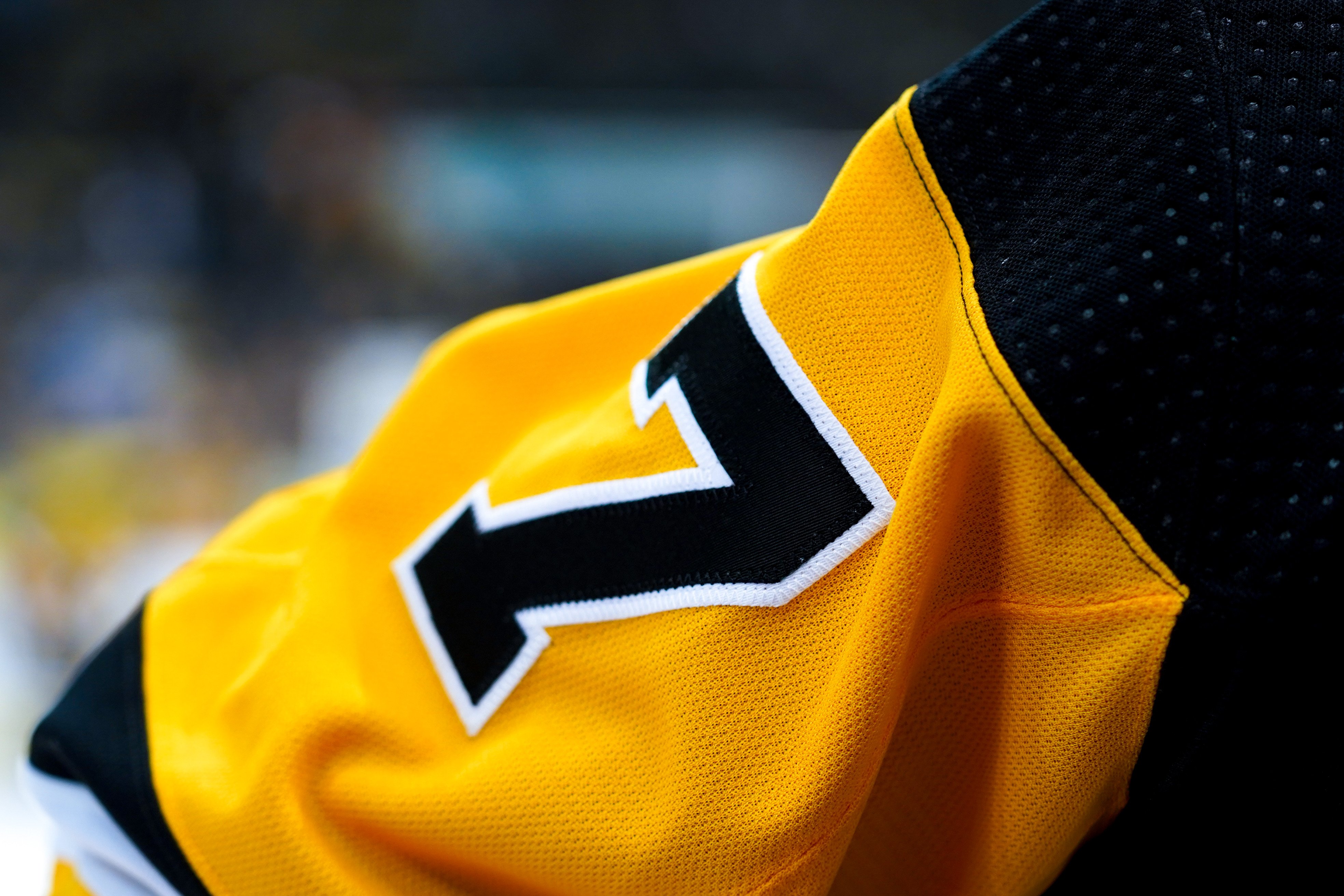 Pittsburgh Penguins on X: Friendly reminder: Specialty Pride warmup jerseys  will be available for auction later today. Pittsburgh's fundraising will  benefit both @YouCanPlayTeam and the Pittsburgh Tigers. Learn more