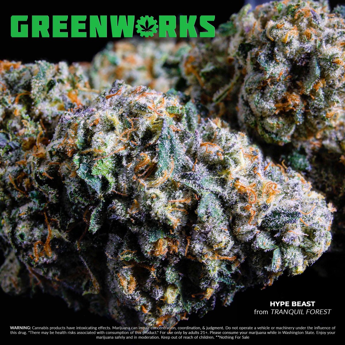 greenworkscanna's tweet photo. If you want to get into BEAST mode then you first got to get HYPE…..thanks to @tranquilforestwa we now have the “HYPE-BEAST” strain which is some beastly 🔥🔥🔥💚

#GreenworksNORTHwest #tranquilforest https://t.co/vltAytzrrU