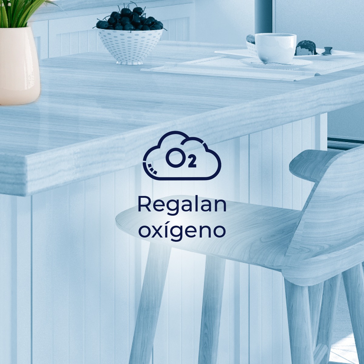 La plantas son un purificador de aire natural y te ayudarán a sentir un ambiente más sano. 

Colocar en tu cocina plantas aromáticas o comestibles, aportarán frescura y bienestar.