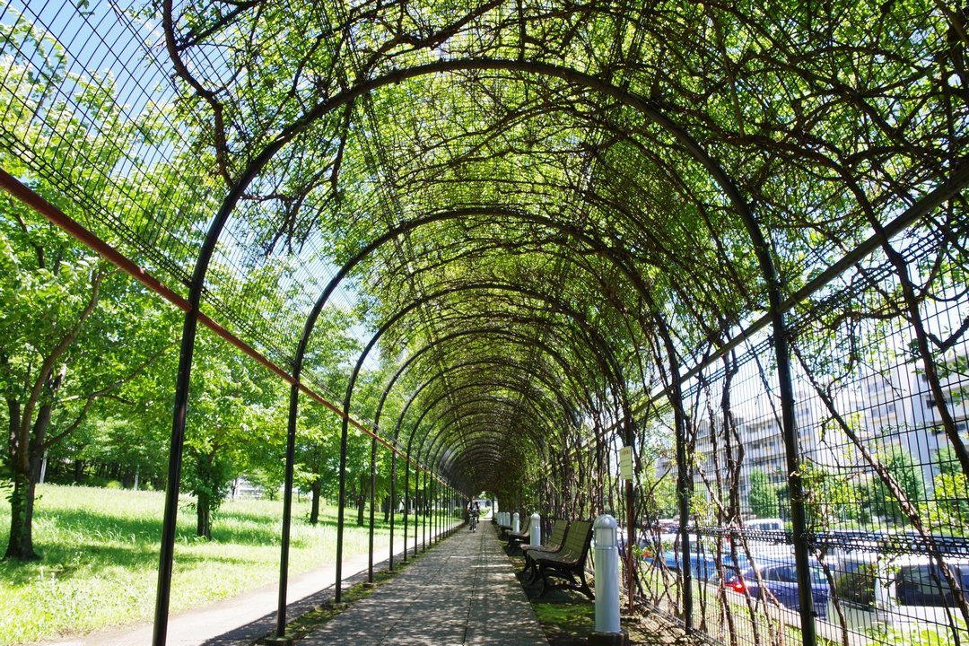 多摩ニュータウン_bot tweet media