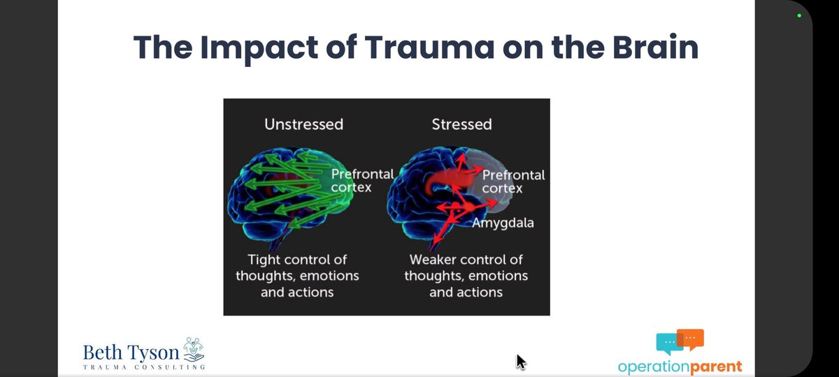 AttachFamilies's tweet photo. Such a truly wonderful Webinar by the amazing @author_tyson today! Thank you so very much! #FosterCare #adoption #kinship #Trauma #complextrauma #attachmentdisorders https://t.co/Y8WHwzGj7N